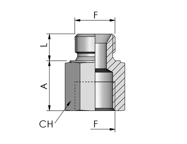 Adapter BSP 60° konus
