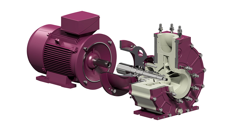 CDI-QS Sektion
